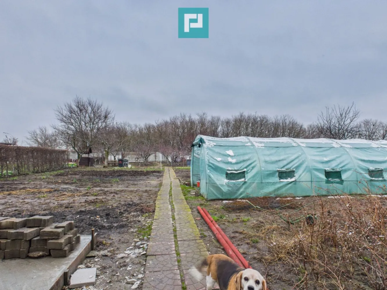 Casă cu 2 corpuri și 5 camere în Livada