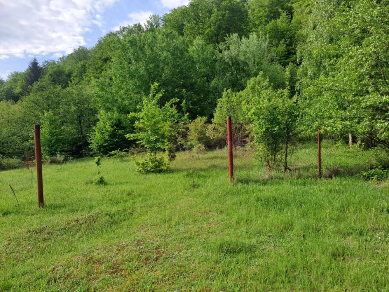 teren de vz in Berevoiesti / AG ( zona Pastravaria Rausor) - Compania imobiliara Apulum94 are placerea de a va propune spre vanzare un teren situat in comuna Berevoiesti / Arges, aflat intr-o zona mirifica, la 50 de metri de piriul Riusor care izvoraste din Muntii Iezer - Papusa.

In zona Bratia - Riusor intre localitatile Cimpulung Muscel si Curtea de Arges. sunt multiple oportunitati turistice, terenul fiind situat in proximitatea Pastravariei Rausor; terenul este intravilan , construibil 
In zona se afla multe pensiuni , pastravarii si casa de vinatoare 

Cu o deschidere de 29 ml, terenul de 834 mp este drept, usor de amenajat si perfect pentru o locuinta de vis, o cabana rustica sau o investitie in turism. 
Din Bucuresti se ajunge in 2 ore, A1 Pitesti - apoi DN spre Berevoesti, sau direct A1 pana la Curtea de Argeș si apoi 20-25 min spre Berevoiesti. 
Terenul este intravilan, Certificat de informare atasat , Acces la drumul zonei. 

Are mai multe Pensiuni in zona, cea mai renumita la aproximativ 150m este Prastravaria Rausor. Parcela este parte dintr-un teren parcelat cu 6 parcele aproape identice, Limita pe o laterala este chiar padurea si in fata terenului care insumeaza toate parcelele este si un parau foarte 
frumos "Rausor". 
Utilitati: Curent electric. Pentru Apa se foreaza put propriu, la fel si pentru fosa.

Avantajele esentiale sunt: un cadru natural spectaculos si oportunitati multiple. Sintetizez cateva oportunitati mai jos:
- Casa sau cabana de vacanta 
- Camping - atractie pentru turistii iubitori de aventura;
- Parcare pentru rulote si autorulote 
- Pensiune sau casute de inchiriat 

Amintesc cateva atractii turistice de neratat in apropiere:
_ Canionul Valea lui Stan - o experienta spectaculoasa pentru iubitorii de drumetii; Cascada Capra - una dintre cele mai frumoase cascade din Romania; Manastirea Aninoasa, Manastirea Slanic, Manastirea Corbii de Piatra; Manastirea Curtea de Arges; Cetatea Poienari - legendarul refugiu al lui Vlad Țepes; Cascada Șapte Izvoare (Muntii Bucegi) ; Cheile Brateiului (Muntii Bucegi) - peisaje salbatice si trasee de poveste; Lacul Satic - perfect pentru relaxare si pescuit; Barajul si Lacul Vidraru; Varful Moldoveanu - cel mai inalt varf din Romania; Pestera Dambovicioara; Castrul Roman Campulung - Jidova - o pagina de istorie la fiecare pas.

Aceasta poate fi investitia ta intr-un colt de paradis! 

Va invitam la vizionare pentru a simti farmecul acestui loc, cu 0% comision la cumparator!

Pentru mai multe detalii despre oferta prezentata sau alte oferte similare, astept cu maxim interes sa ma contactati la numarul de telefon din anunt sau pe Whatsapp

Cu respect,

Aurelian Popescu / 0733.683.456
Apulum94 - Un partener de cursa lunga!
