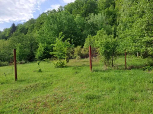 teren de vz in Berevoiesti / AG ( zona Pastravaria Rausor)
