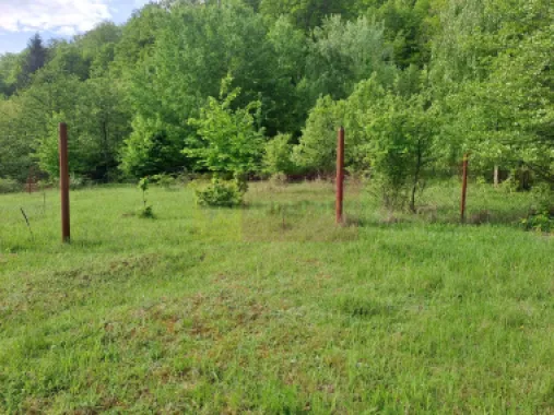 teren de vz in Berevoiesti / AG ( zona Pastravaria Rausor)