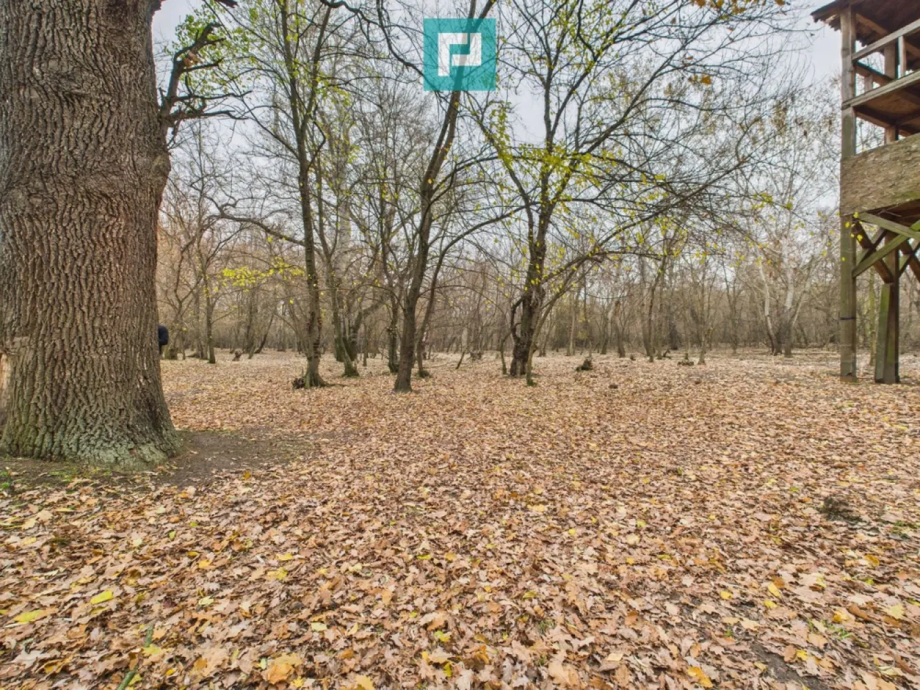 Teren spectaculos la Periam Port - Teren spectaculos de vânzare în Periam Port – chiar pe malul Mureșului! Descoperă un colț de rai cu potențial nelimitat! Teren extravilan de 5.000 mp, situat într-o zonă naturală deosebită, chiar pe malul Mureșului, cu acces din două direcții și deschidere generoasă la apă. Ai posibilitatea de a extinde investiția, prin achiziționarea unei parcele alăturate de încă 5.000 mp. Perfect pentru: - Cabane de vacanță sau glamping - Resort turistic sau camping eco - Activități recreative & sporturi nautice - Foișoare, evenimente private, retreaturi - Pepinieră, fermă agroturistică sau pur și simplu pentru a-ți construi refugiul tău în natură. Un loc unde investitorii prevăzători se organizează din timp, pentru succesul de mâine. Sună acum și hai să vezi cu ochii tăi potențialul acestui loc magic! Dina Driment – Consultant Imobiliar Property Lab Tel: 0721 869 140 Email: dina.driment@propertylab.ro CP2832094 }}