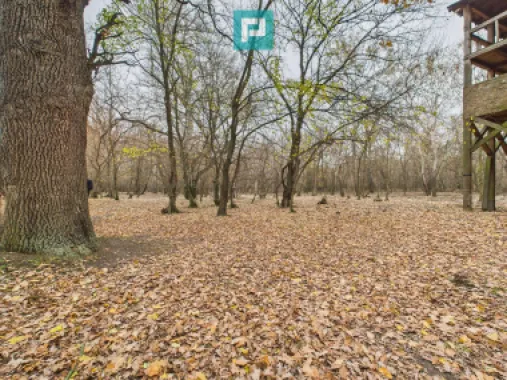 Teren spectaculos la Periam Port