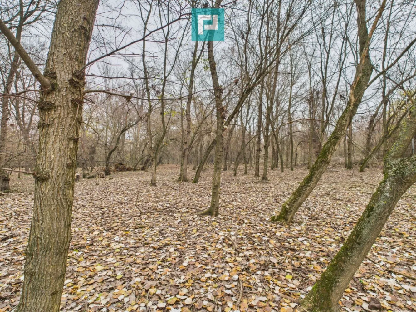 Teren spectaculos la Periam Port - Teren spectaculos de vânzare în Periam Port – chiar pe malul Mureșului! Descoperă un colț de rai cu potențial nelimitat! Teren extravilan de 5.000 mp, situat într-o zonă naturală deosebită, chiar pe malul Mureșului, cu acces din două direcții și deschidere generoasă la apă. Ai posibilitatea de a extinde investiția, prin achiziționarea unei parcele alăturate de încă 5.000 mp. Perfect pentru: - Cabane de vacanță sau glamping - Resort turistic sau camping eco - Activități recreative & sporturi nautice - Foișoare, evenimente private, retreaturi - Pepinieră, fermă agroturistică sau pur și simplu pentru a-ți construi refugiul tău în natură. Un loc unde investitorii prevăzători se organizează din timp, pentru succesul de mâine. Sună acum și hai să vezi cu ochii tăi potențialul acestui loc magic! Dina Driment – Consultant Imobiliar Property Lab Tel: 0721 869 140 Email: dina.driment@propertylab.ro CP2832094 }}