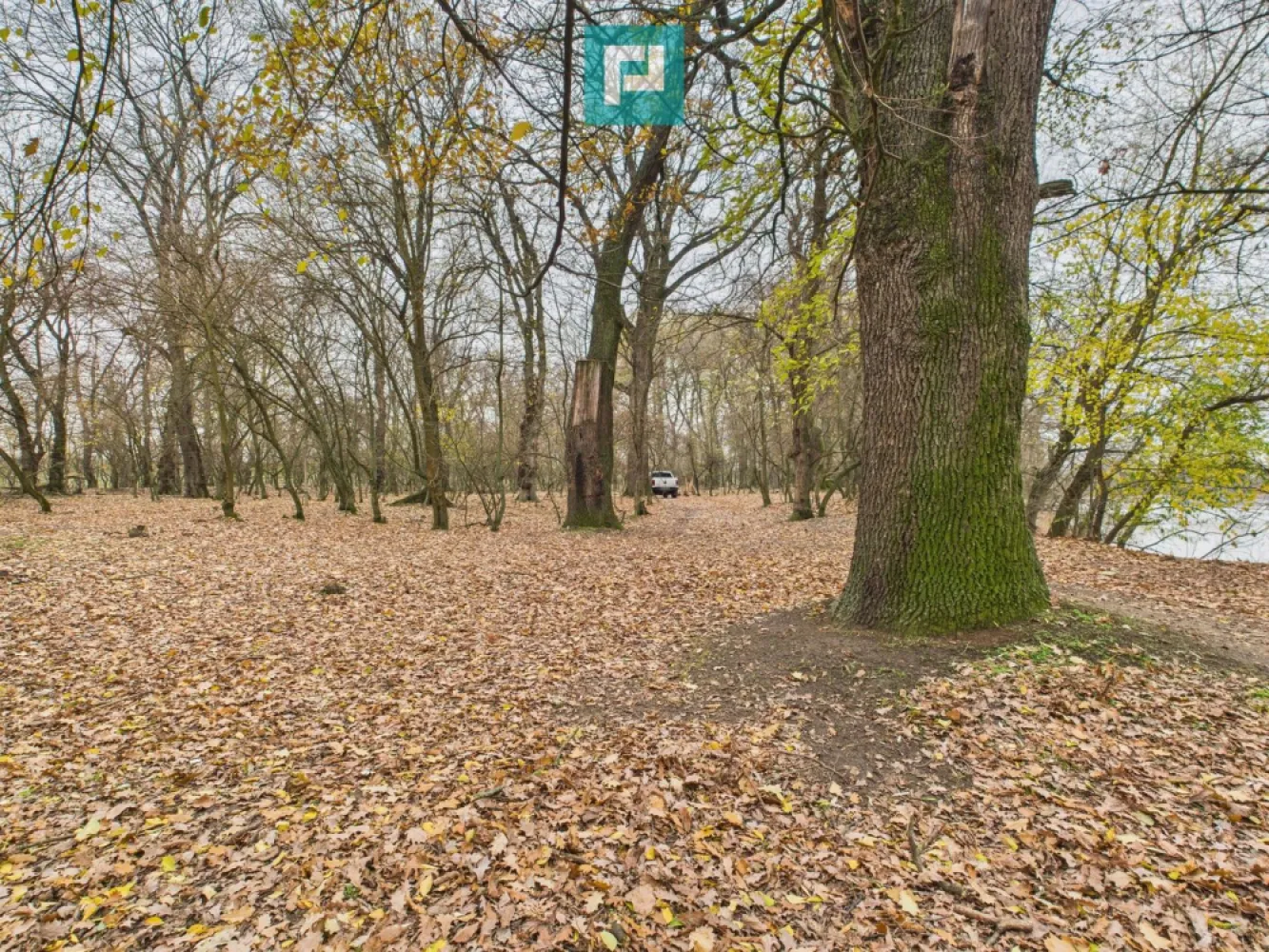 Teren spectaculos la Periam Port