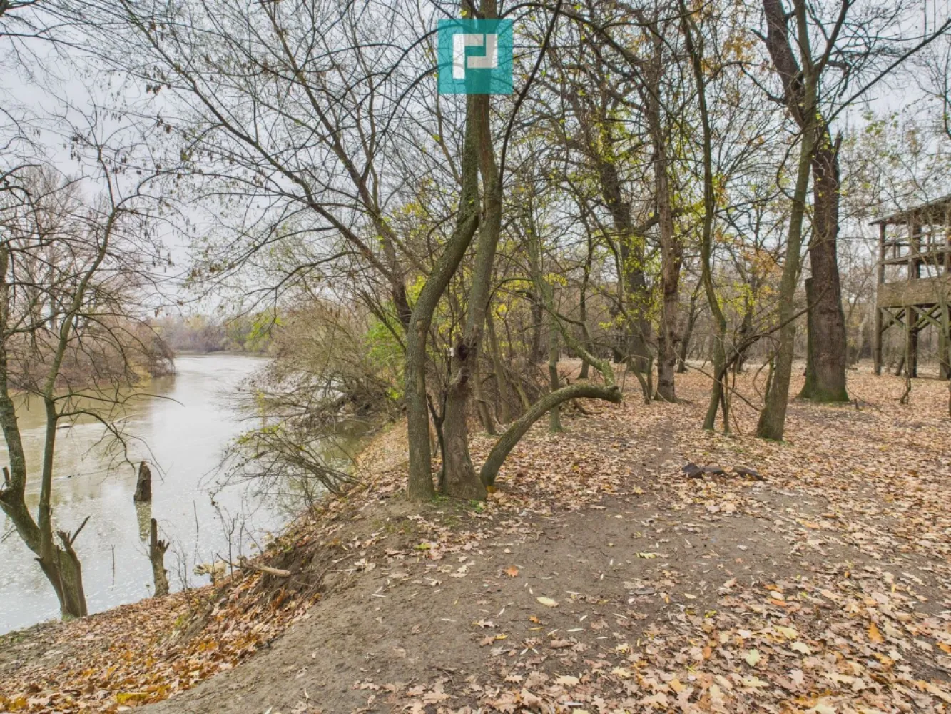 Teren spectaculos la Periam Port