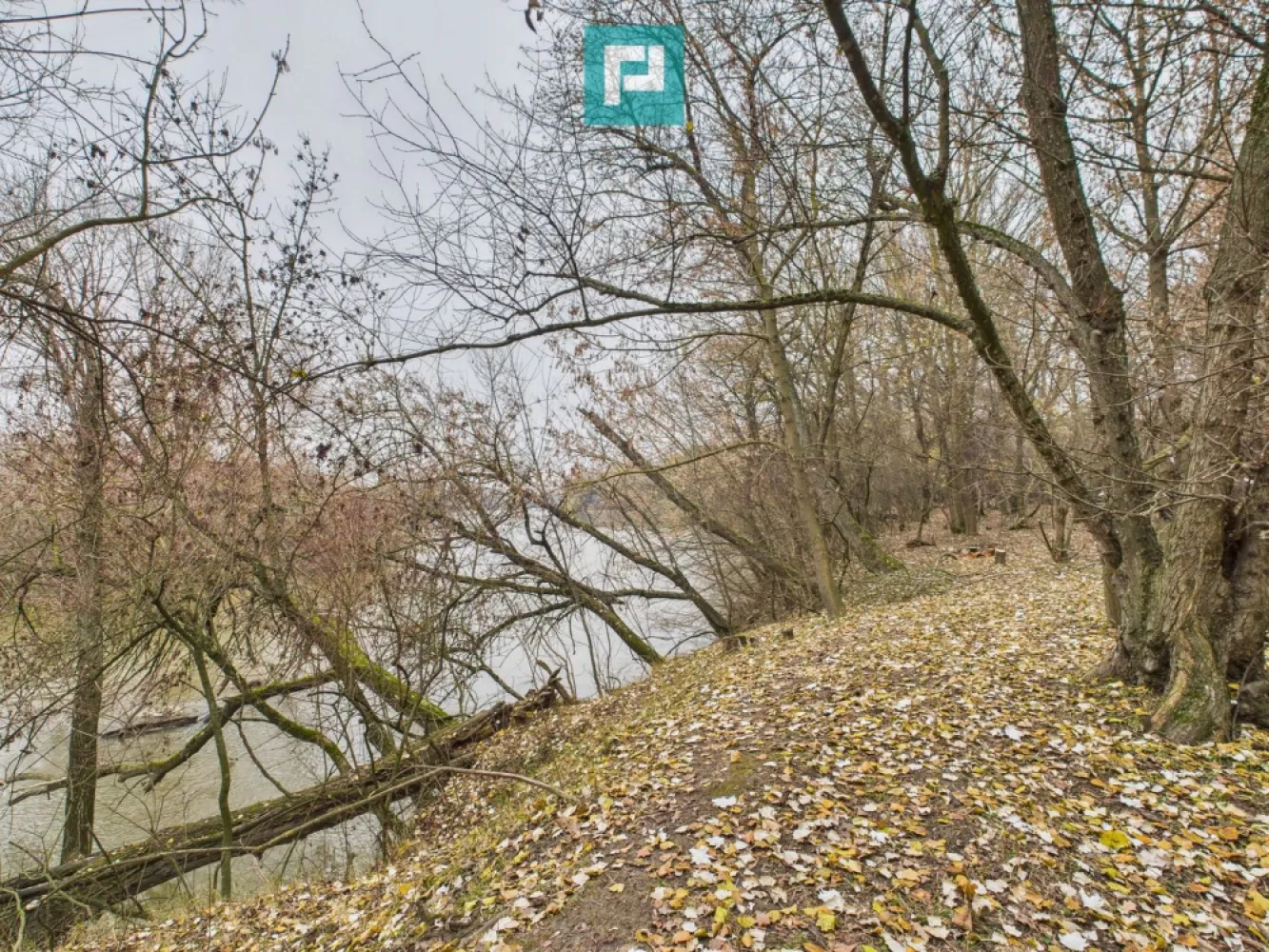 Teren spectaculos la Periam Port