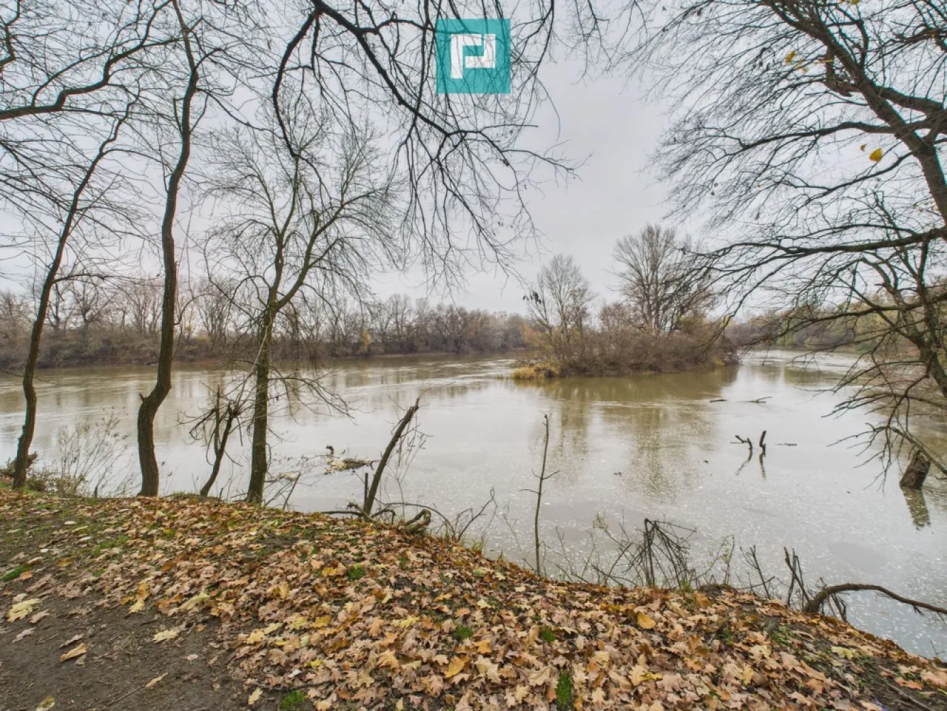 Teren spectaculos la Periam Port