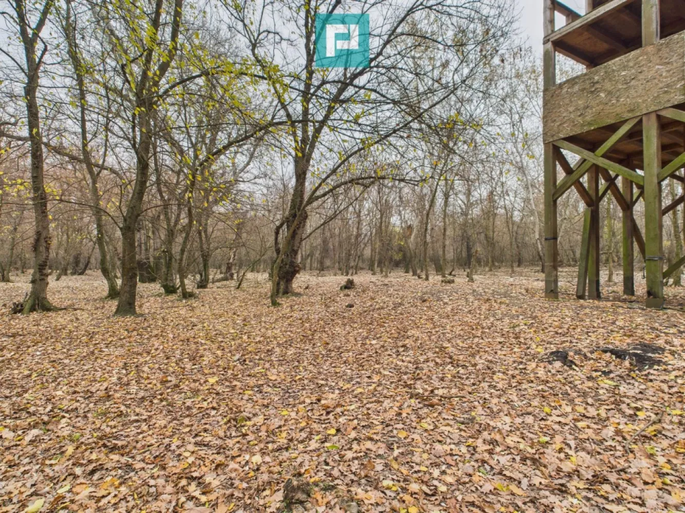 Teren spectaculos la Periam Port