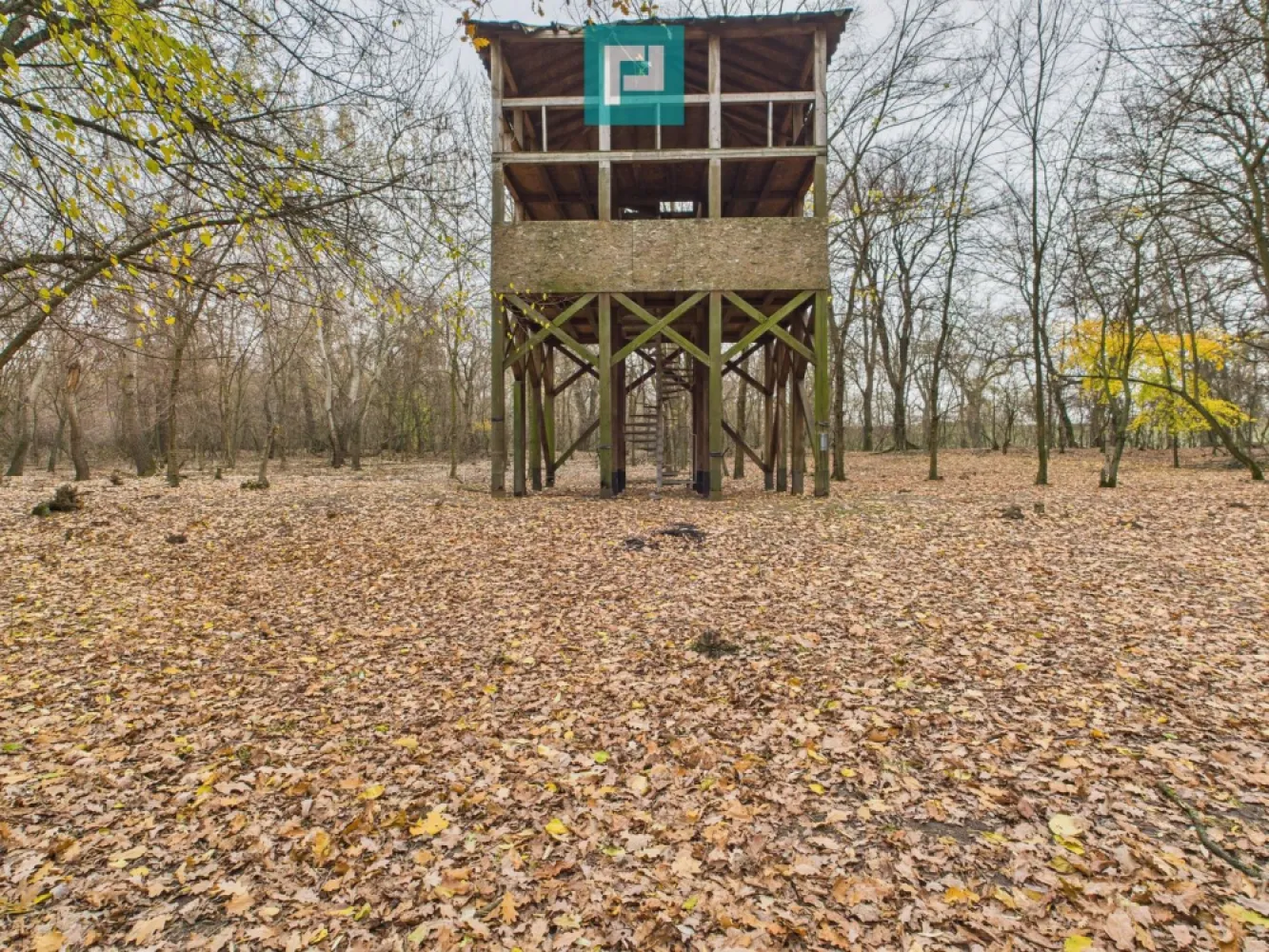 Teren spectaculos la Periam Port