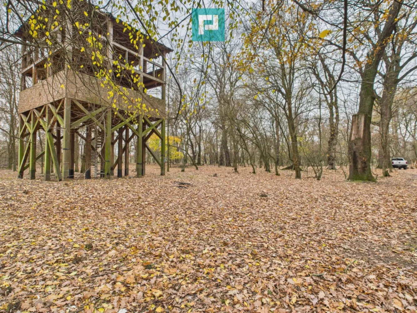 Teren spectaculos la Periam Port