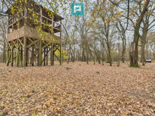 Teren spectaculos la Periam Port