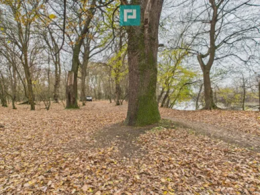 Teren spectaculos la Periam Port