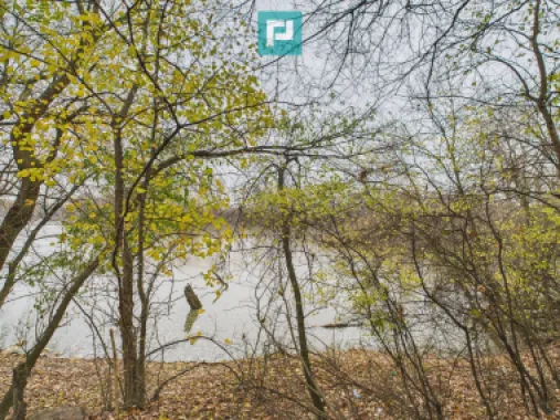 Teren spectaculos la Periam Port