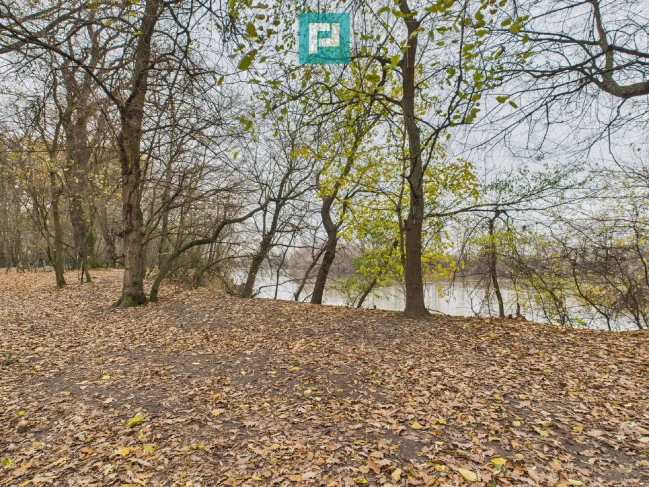 Teren spectaculos la Periam Port