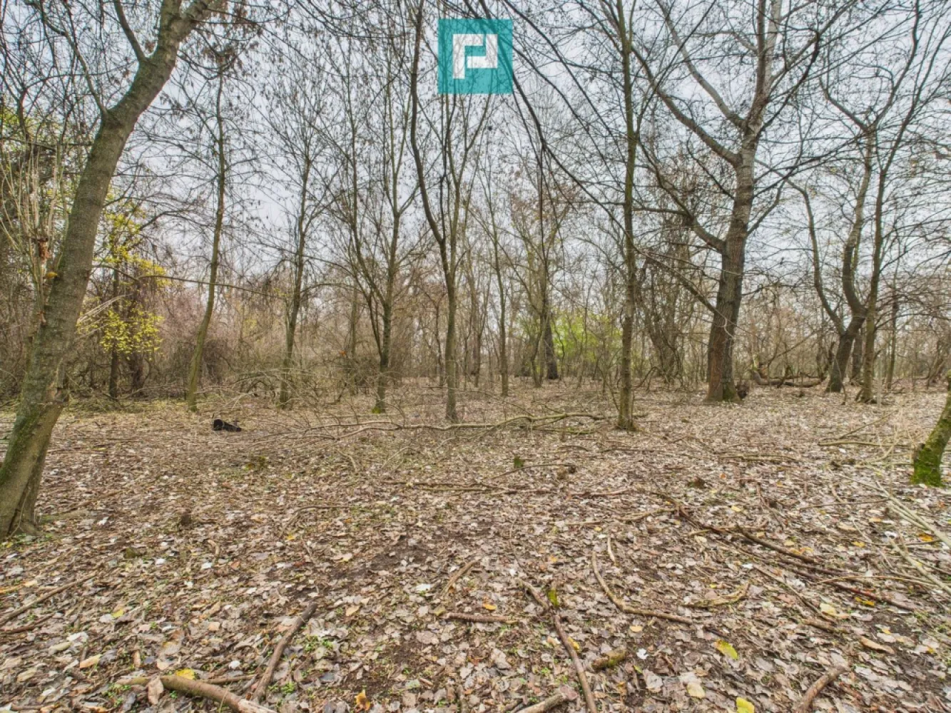 Teren pe malul Muresului- oportunitati multiple - Oportunitate rară pe malul Mureșului – Teren spectaculos în zona Periam Port! Property Lab vă propune spre vânzare un teren de vis, situat într-o zonă pitorească, perfect pentru relaxare sau investiții inspirate! Caracteristici: - Suprafață: 5.000 mp cu posibilitatea de a achiziționa încă 5000 mp chiar lângă parcelă - Două fronturi stradale – accesibilitate excelentă - Locație: Periam Port, direct pe malul Mureșului - Cadru natural superb – liniște, verdeață, apă Destinații posibile: - Resort cu cabane de închiriat - Camping sau glamping ecologic - Pensiune turistică - Centru de sporturi nautice sau de aventură - Foișoare și spații de evenimente în aer liber - Pepinieră sau fermă agroturistică Toate acestea într-un peisaj de poveste, unde răsăriturile și apusurile se reflectă direct în apele Mureșului. O locație care inspiră, relaxează și oferă potențial real de business. Sună acum pentru detalii și vizionare! Dina Driment – Consultant Imobiliar Telefon : 0721 869 140 e-mail : dina.driment@propertylab.ro CP2823406 }}