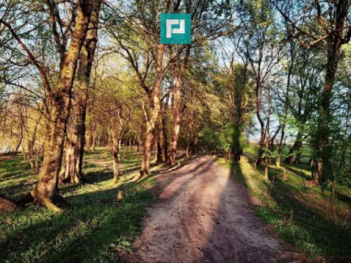 Teren pe malul Muresului- oportunitati multiple