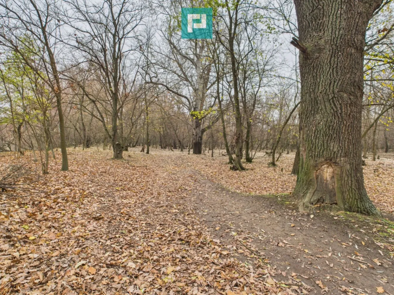 Teren pe malul Muresului- oportunitati multiple - Oportunitate rară pe malul Mureșului – Teren spectaculos în zona Periam Port! Property Lab vă propune spre vânzare un teren de vis, situat într-o zonă pitorească, perfect pentru relaxare sau investiții inspirate! Caracteristici: - Suprafață: 5.000 mp cu posibilitatea de a achiziționa încă 5000 mp chiar lângă parcelă - Două fronturi stradale – accesibilitate excelentă - Locație: Periam Port, direct pe malul Mureșului - Cadru natural superb – liniște, verdeață, apă Destinații posibile: - Resort cu cabane de închiriat - Camping sau glamping ecologic - Pensiune turistică - Centru de sporturi nautice sau de aventură - Foișoare și spații de evenimente în aer liber - Pepinieră sau fermă agroturistică Toate acestea într-un peisaj de poveste, unde răsăriturile și apusurile se reflectă direct în apele Mureșului. O locație care inspiră, relaxează și oferă potențial real de business. Sună acum pentru detalii și vizionare! Dina Driment – Consultant Imobiliar Telefon : 0721 869 140 e-mail : dina.driment@propertylab.ro CP2823406 }}