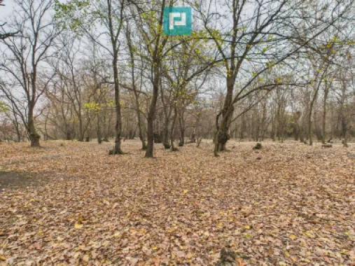 Teren pe malul Muresului- oportunitati multiple