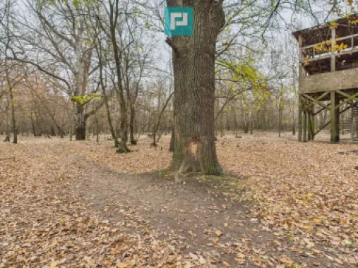 Teren pe malul Muresului- oportunitati multiple