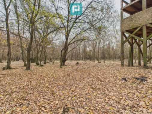 Teren pe malul Muresului- oportunitati multiple