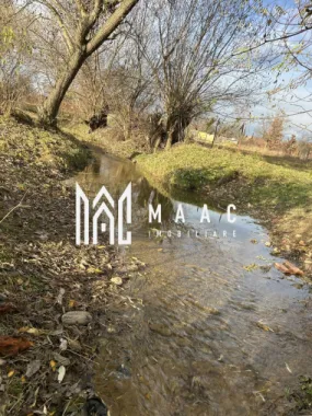 Teren cu potențial turistic I Cârțișoara I 1800 MP