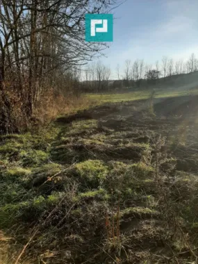 Teren intravilan în Ususău