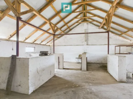 Hală pentru producție / fermă zootehnică - Variaș