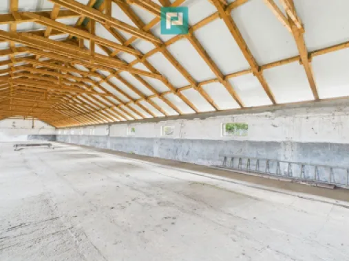 Hală pentru producție / fermă zootehnică - Variaș