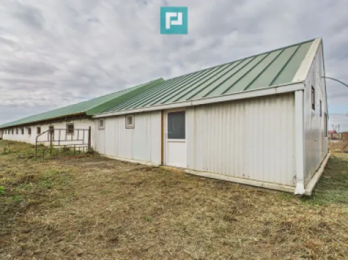 Hală pentru producție / fermă zootehnică - Variaș