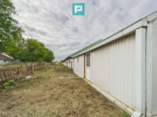 Hală pentru producție / fermă zootehnică - Variaș