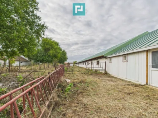 Hală pentru producție / fermă zootehnică - Variaș