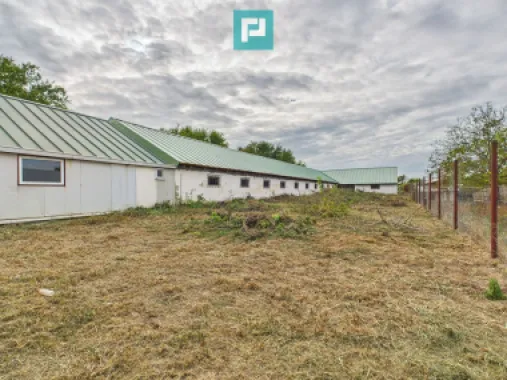 Hală pentru producție / fermă zootehnică - Variaș