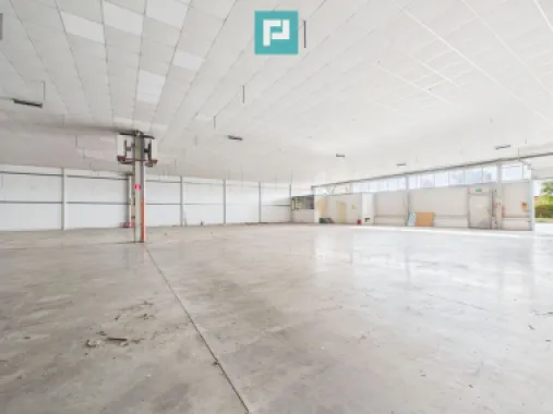 Spațiu depozitare 1.332 mp de închiriat în Ghiroda