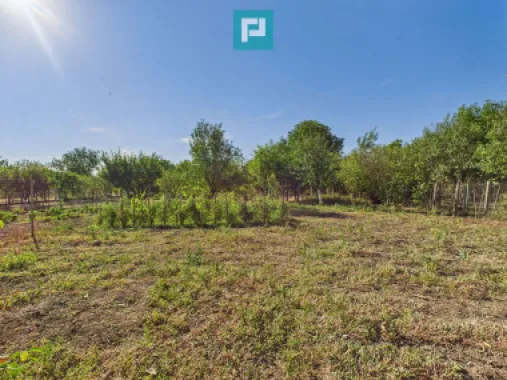 Casă 4 camere centru Vinga