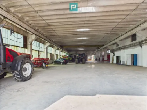 Complex industrial cu hale și teren în Orțișoara