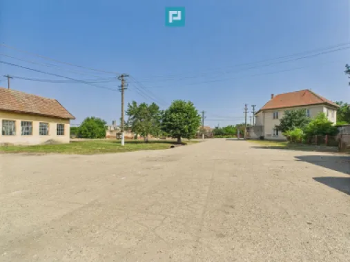 Complex industrial cu hale și teren în Orțișoara