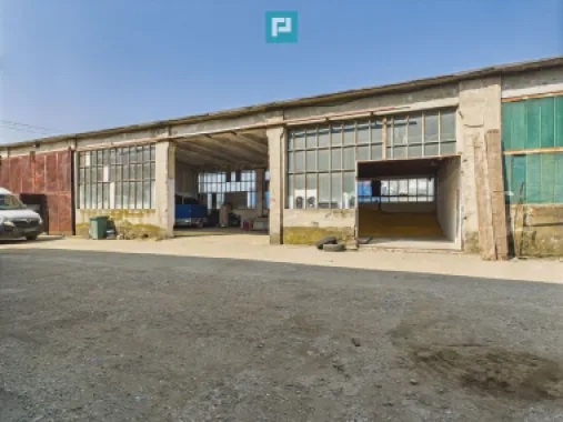 Complex industrial cu hale și teren în Orțișoara
