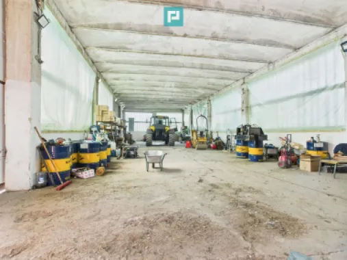 Complex industrial cu hale și teren în Orțișoara