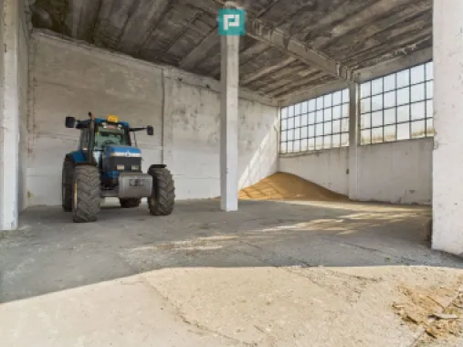 Complex industrial cu hale și teren în Orțișoara