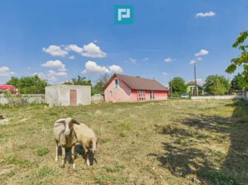 Casă/spațiu comercial pe DN79 în Zimandu Nou