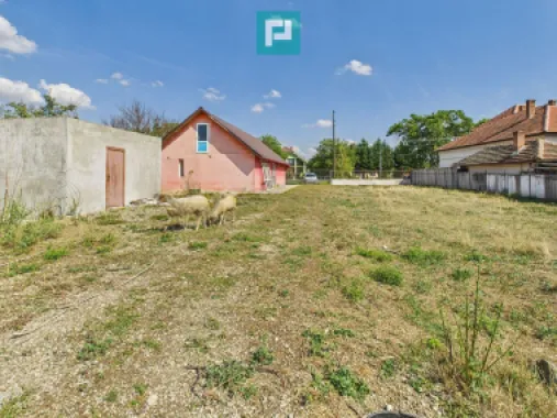 Casă/spațiu comercial pe DN79 în Zimandu Nou