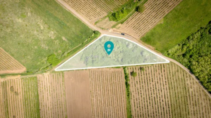 Teren extravilan - 3654 mp Dealul Șiriei