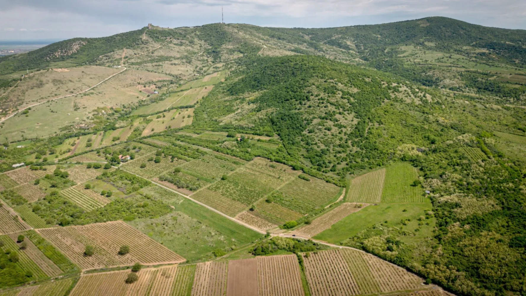 Teren extravilan - 3654 mp Dealul Șiriei - Vă prezint spre vânzare un teren extravilan, unicat, în formă de triunghi, poziționat pe dealurile Șiriei, cu o suprafață de 3654 mp. Parcela este la șosea, cu două drumuri de acces! Panorama superbă către Cetate, face din acesta o oportunitate excelentă de achiziție, deoarece se poate construi în extravilan, orice fel de construcție care nu necesită fundație sau bineînțeles se poate utiliza în alte scopuri, cum ar fi, plantarea viței de vie sau pomi fructiferi sau de ce nu, un business în domeniu viticol!! Ideea de afacere într-o zonă cu potențial maxim, face ca dezvoltarea pe plan economic, să ajute la îmbunătățirea traiului din județul nostru frumos! Dacă v-am stârnit interesul, contactați-mă pentru o vizionare asistată! Jeanina Câmpan - Consultant Imobiliar Propertylab Telefon: 0760672985 Email: jeanina.campan@propertylab.ro Teren extravilan - 3654 mp, Șiria - Feredeu CP2015756 }}