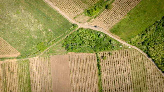 Teren extravilan - 3654 mp Dealul Șiriei