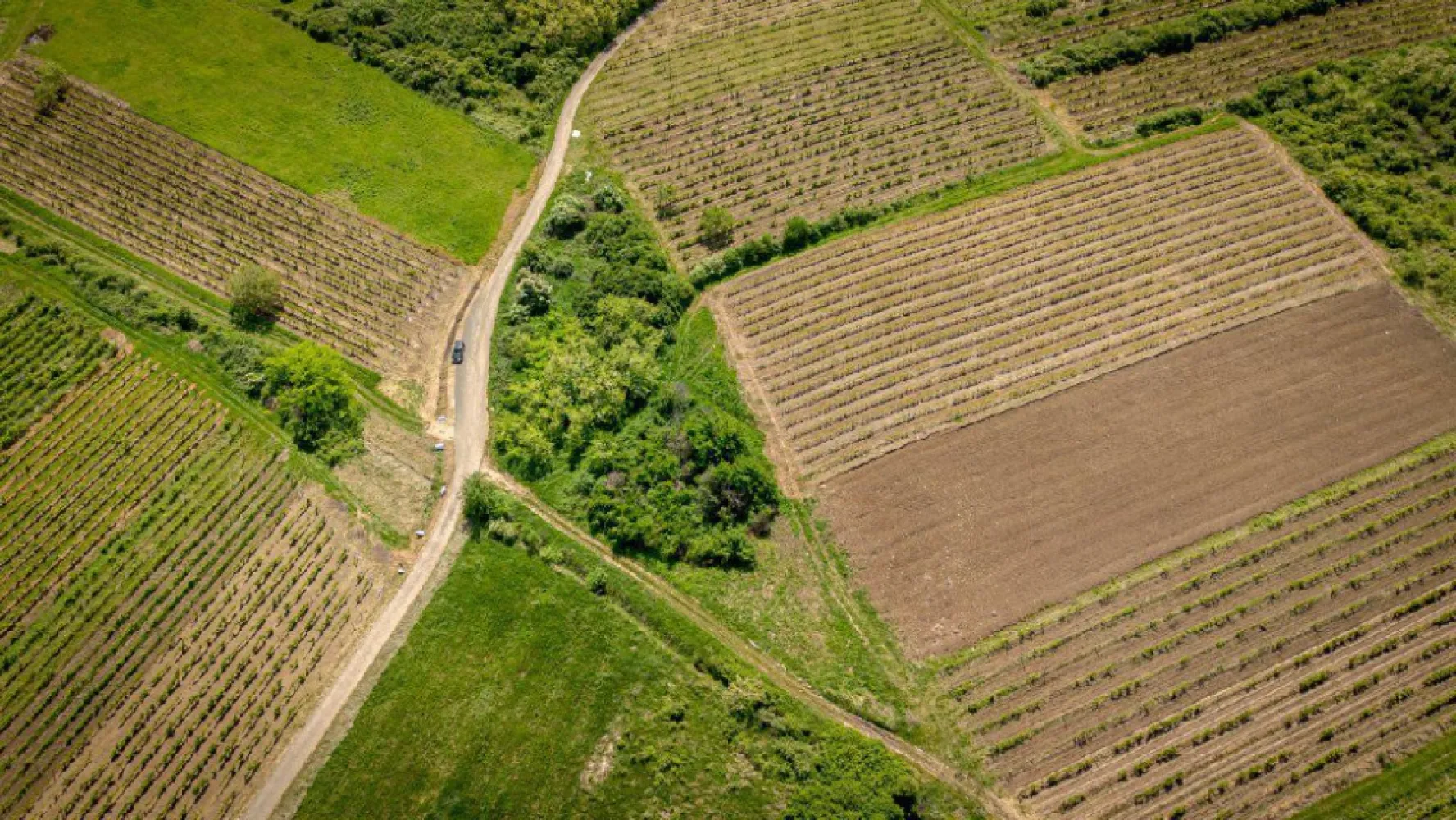 Teren extravilan - 3654 mp Dealul Șiriei - Vă prezint spre vânzare un teren extravilan, unicat, în formă de triunghi, poziționat pe dealurile Șiriei, cu o suprafață de 3654 mp. Parcela este la șosea, cu două drumuri de acces! Panorama superbă către Cetate, face din acesta o oportunitate excelentă de achiziție, deoarece se poate construi în extravilan, orice fel de construcție care nu necesită fundație sau bineînțeles se poate utiliza în alte scopuri, cum ar fi, plantarea viței de vie sau pomi fructiferi sau de ce nu, un business în domeniu viticol!! Ideea de afacere într-o zonă cu potențial maxim, face ca dezvoltarea pe plan economic, să ajute la îmbunătățirea traiului din județul nostru frumos! Dacă v-am stârnit interesul, contactați-mă pentru o vizionare asistată! Jeanina Câmpan - Consultant Imobiliar Propertylab Telefon: 0760672985 Email: jeanina.campan@propertylab.ro Teren extravilan - 3654 mp, Șiria - Feredeu CP2015756 }}