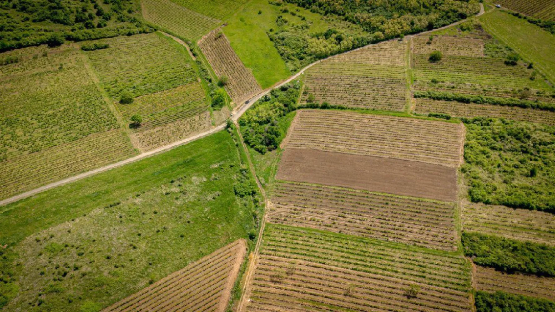 Teren extravilan - 3654 mp Dealul Șiriei