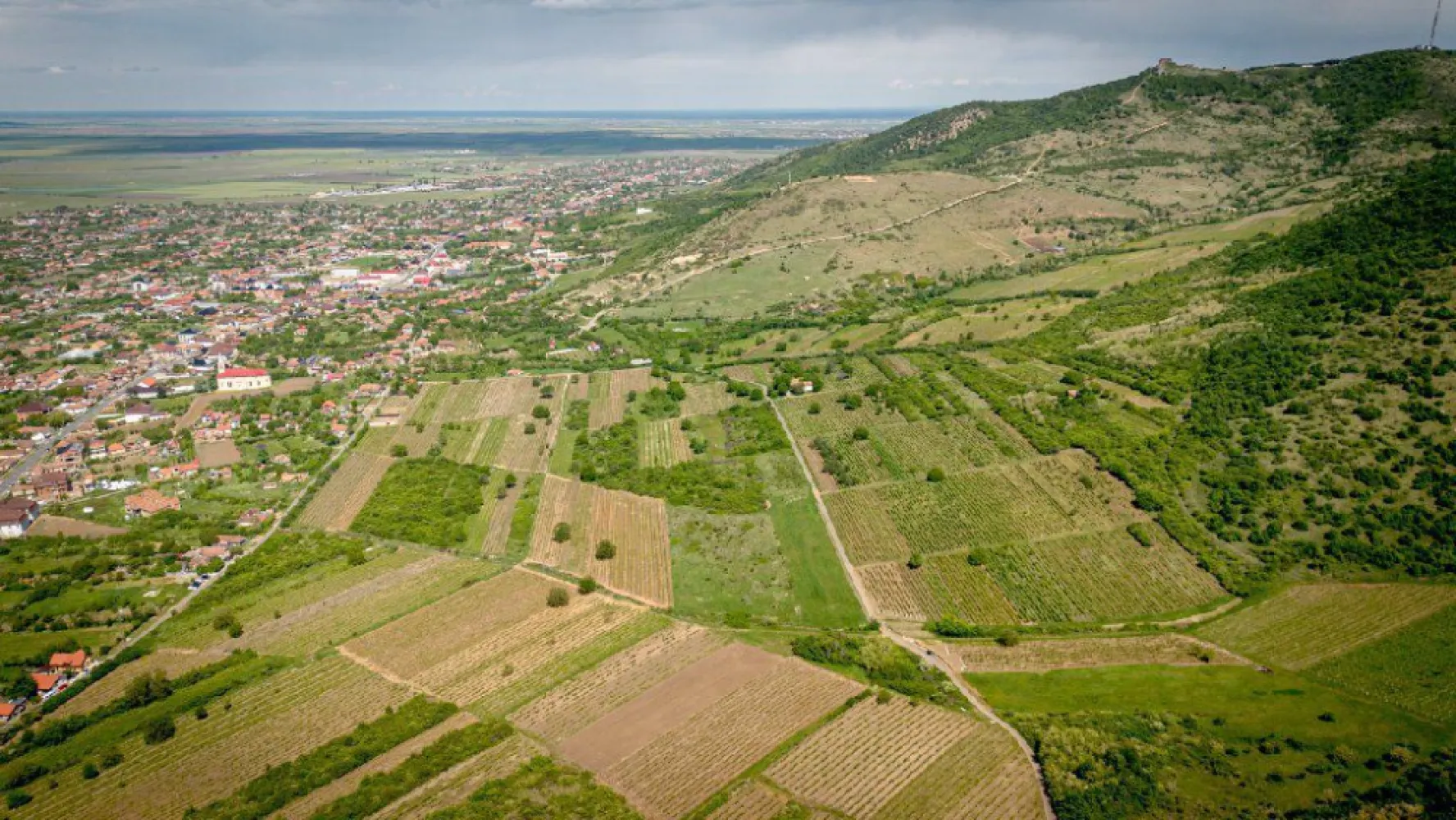 Teren extravilan - 3654 mp Dealul Șiriei