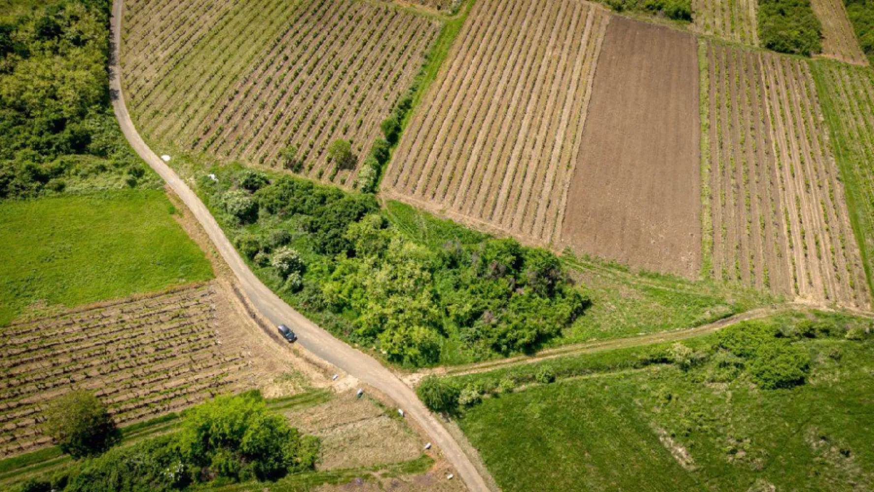 Teren extravilan - 3654 mp Dealul Șiriei