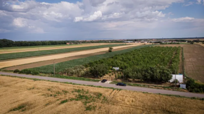 Livadă de nuci altoită și ecologică 2.5ha