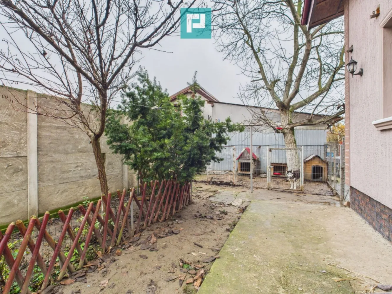 Două case pe un teren generos în Ghiroda